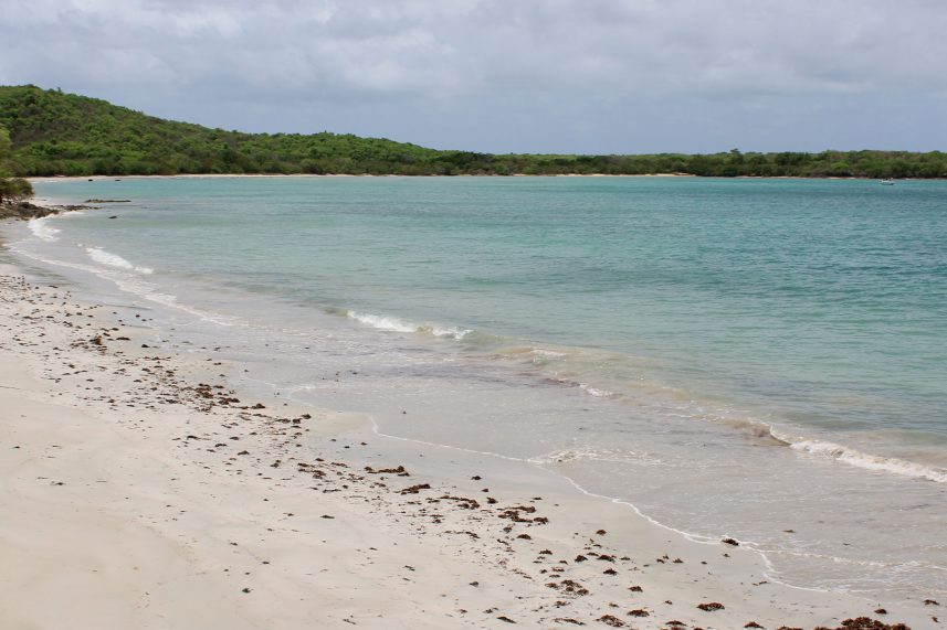 Anse caritan
