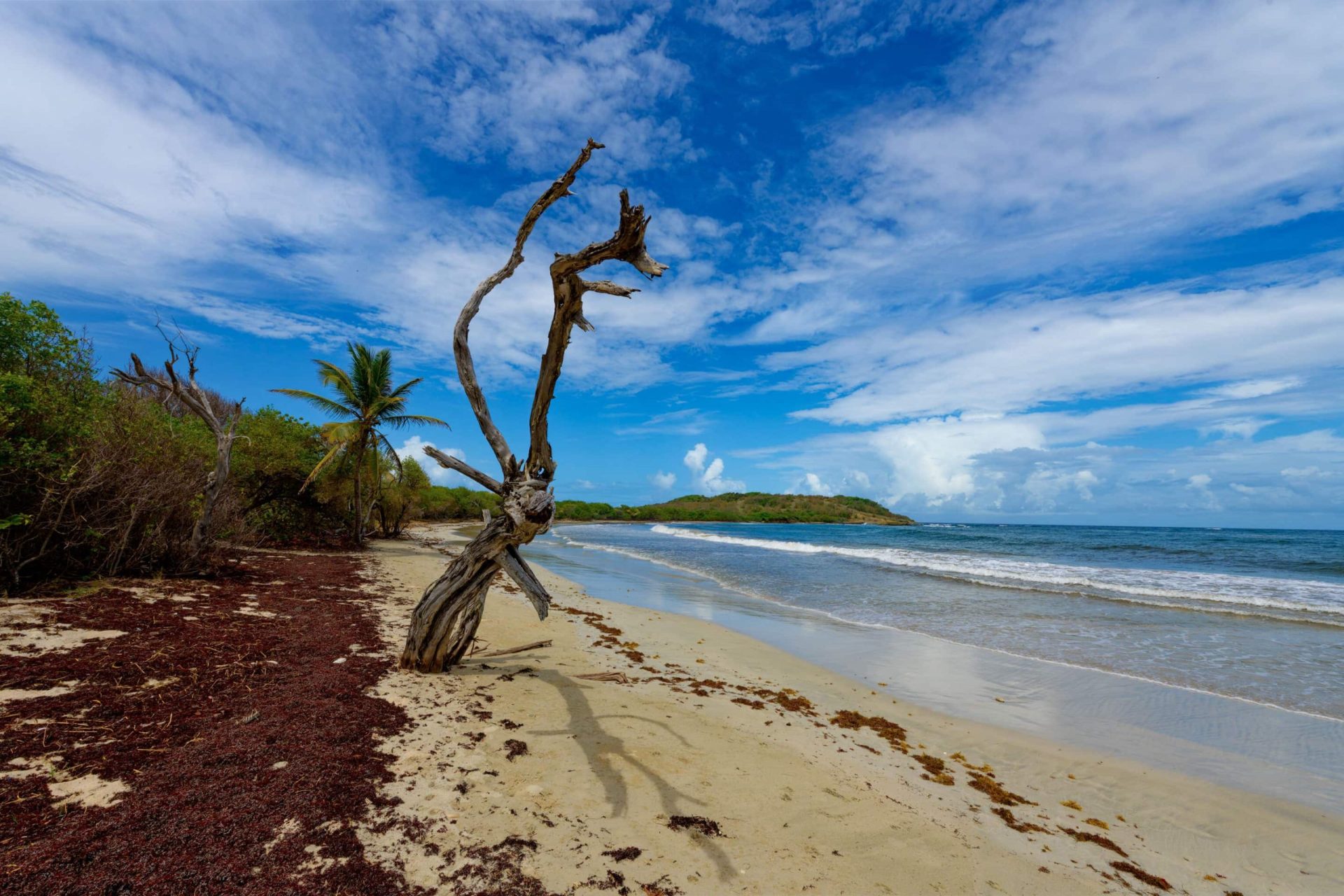 Plage de l'Anse Trabaud