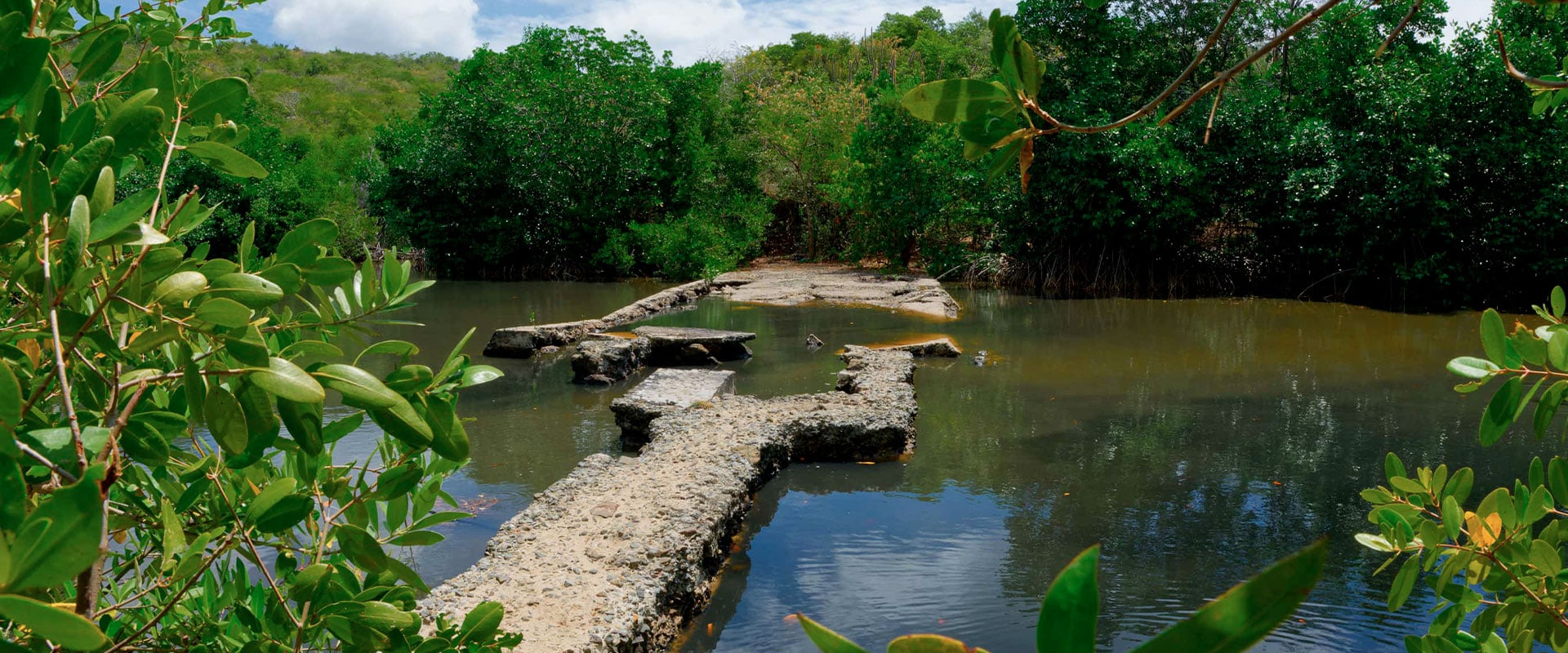 Les anciens marais salants anse meunier